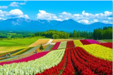 Hokkaido, Japan